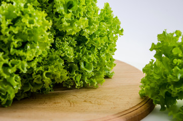 bunch of green lettuce on wooden board isolated on white background. Salad leaves.