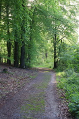 Fototapeta premium Impressionen um Königstein in der Sächsischen Schweiz
