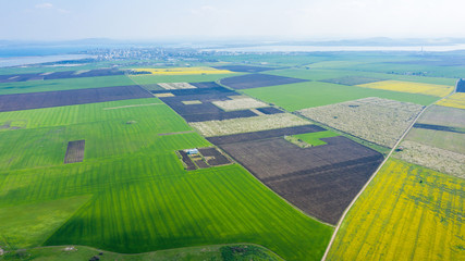 Aerial view of summer fields. Yellow fields from above. Photo captured with drone.