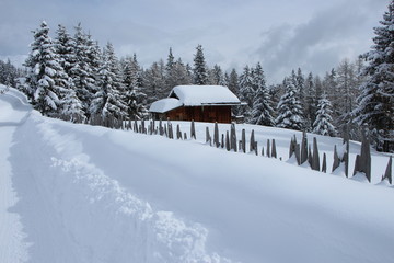 Schneeschuhwandern