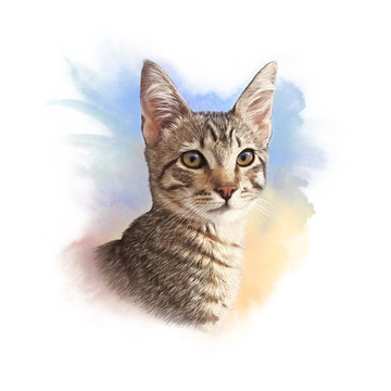 Striped kitten on watercolor background. Realistic portrait of a cat. Hand Drawing of pet. Design template. Good for print on pillow, T shirt. Animal art collection: Cats. Hand painted illustration