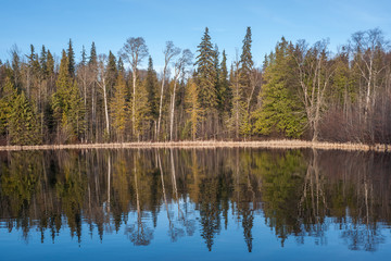 Fototapeta na wymiar Lakeshore in Western Canada
