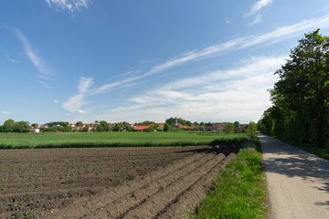 Feld vor Pobenhausen