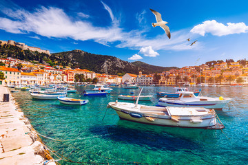 Hvar town with seagull's flying over city, famous luxury travel destination in Croatia. Boats on...