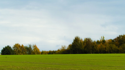 Fototapeta premium Green field on an autumn day. Northern Poland.