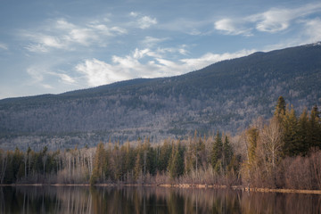 Water - Forests - Sky with Clouds