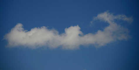 Cottony clouds, cumulus clouds, in a blue sky