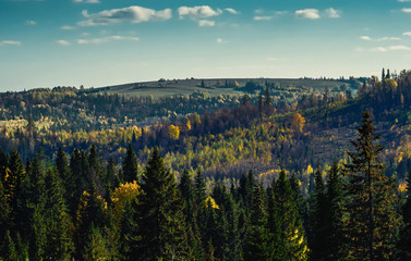 Panoramic view of trees of the autumn wood from above, with blue sky, Stone Hill, Mari El, Russia