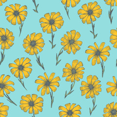 Bright blue seamless pattern with yellow chamomile flowers. Retro hand drawn illustration of beautiful orange gerbera flower, texture for textile, wrapping paper, surface, background
