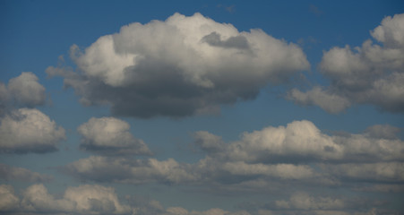 Cottony clouds, cumulus clouds, in a blue sky