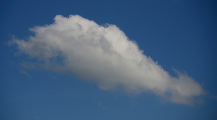 Cottony clouds, cumulus clouds, in a blue sky