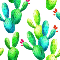 Beautiful tropical watercolor cactus design on white background. Seamless natural pattern with colorful exotic cacti and red flowers 