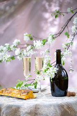 Two glasses of champagne, bottle and apple pie on apple tree in blossom and light curtain background, outdoor.