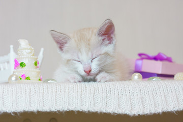 The concept of dreams. A small kitten sleeping.