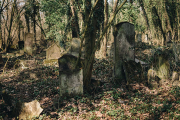 old jewish cemetery