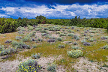 Picturesque view on Italian sandy beach Marina di Vecchiano nearby Pisa, Tuscany  Italy