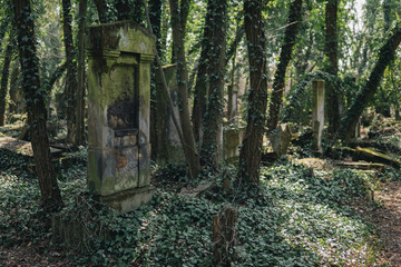 old jewish cemetery