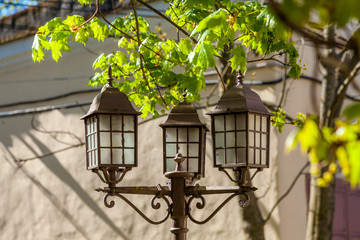 Fototapeta na wymiar Decorative street lamp in the Park of Kronstadt.