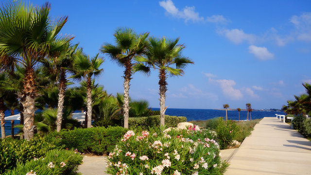 Cyprus. Beautiful beach.	