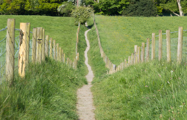 country path through fenced off fields