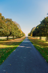 Autumn in the park - natural scenery