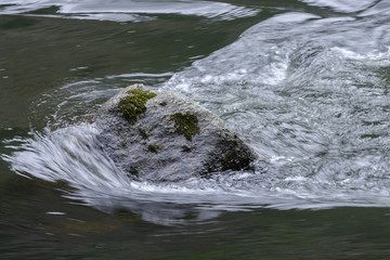 movement of water surface close-up, background