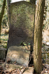 detail of old jewish matzevah