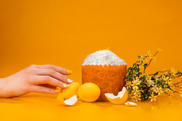 Easter cake, eggs and willow on a yellow background