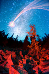 Fototapety na wymiar - Fototapeta24.pl