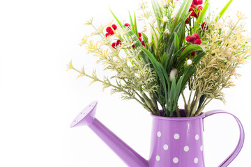 Plastic flower decorate in watering can isolated on white background