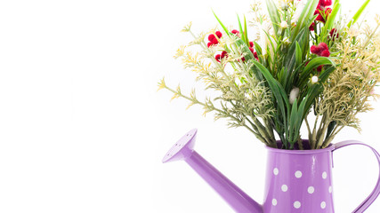 Plastic flower decorate in watering can isolated on white background