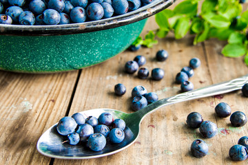 Fresh Bilberries from a bowl on old wooden table. Leaves with berries Bilberries on the Bush for background.