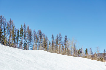 ski track at alpine resort at sunny spring day.