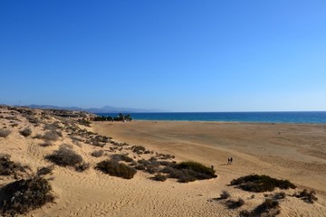 View on famous, wide beach Playa de Sotavento, Canary Islands, Fuerteventura, Spain. One of the best windsurfing beaches in the world