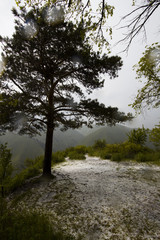  Lonely tree in a mountainous area with hail
