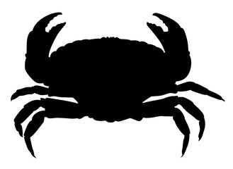 Silhouette noire de crabe sur fond blanc