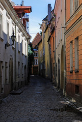 view to old town of tallinn in summertime