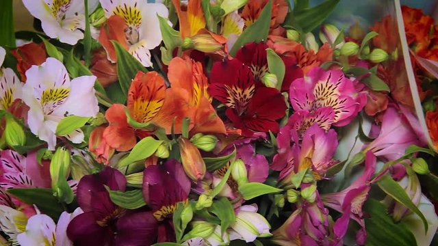 Colorful Alstroemeria flowers. A large bouquet of multi-colored alstroemerias in the flower shop