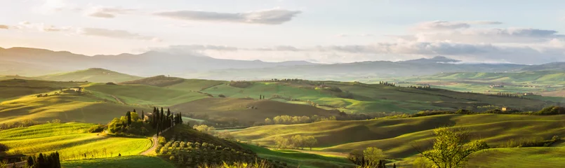 Fotobehang Toscane heuvels en velden van Val d& 39 Orcia in Toscane bij zonsopgang  © tmag