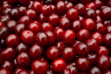 Heap of fresh red cherry with water drops. pile of ripe cherries background close up