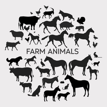 Vector farm animals silhouettes isolated on white. Livestock and poultry icons. Rural landscape with trees, plants and farm