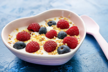 Composition of Typical Genuine Breakfast Side View. Delicious Dairy Yoghurt with Grains of Seed, Raspberry and Blueberry Dish for Wellness, Diet and Fitness. Spoon near Healthy Dessert in Ceramic Bowl