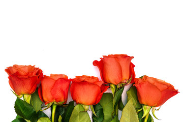 Obraz premium Five red roses on a white background. Colorful roses with green leaves. Isolated flowers laid out in a row. View from above. Copy space