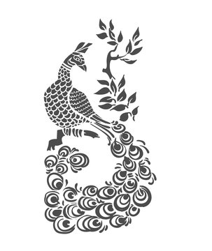 vector bird peacock pattern peacock isolated clip art