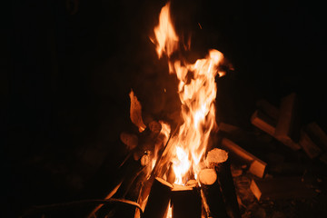 Beautiful fire in the forest on a black background.