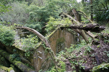 Wanderung zu den vier Fabriken des Lichts-Quatro Fabricas da Luz