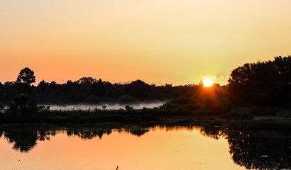 The sun rising over the Florida wetlands on a misty morning