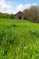Fototapeta na wymiar Vintage barn in the meadow