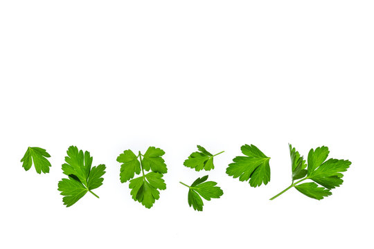 chopped parsley leaves isolated on white background with copy space above