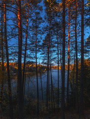 Obraz premium Silence on the forest lake surrounded with pines at sunset, Gluhoe, Russia, Mari El